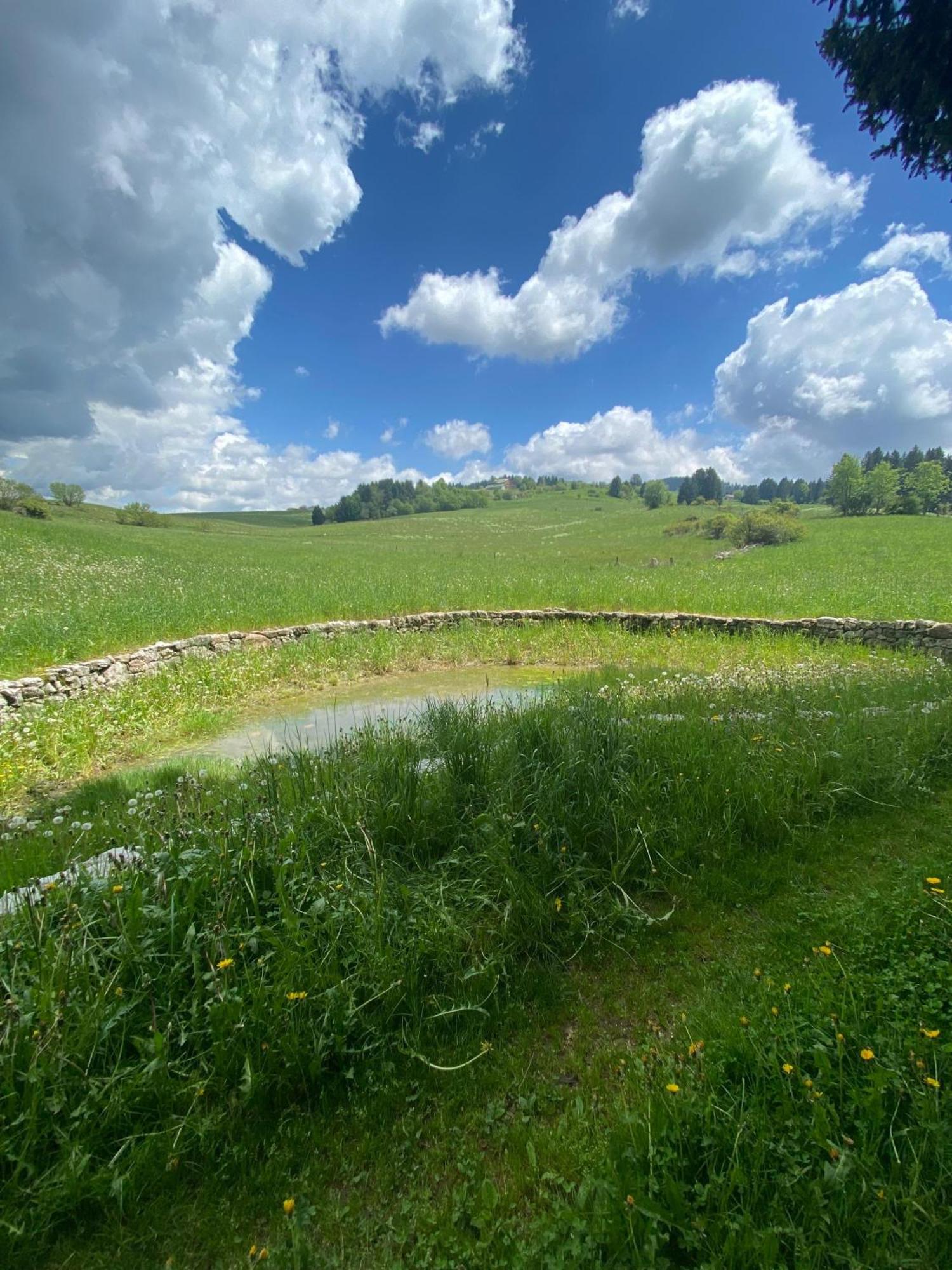 Casa Max A Canove Di Roana Esterno foto